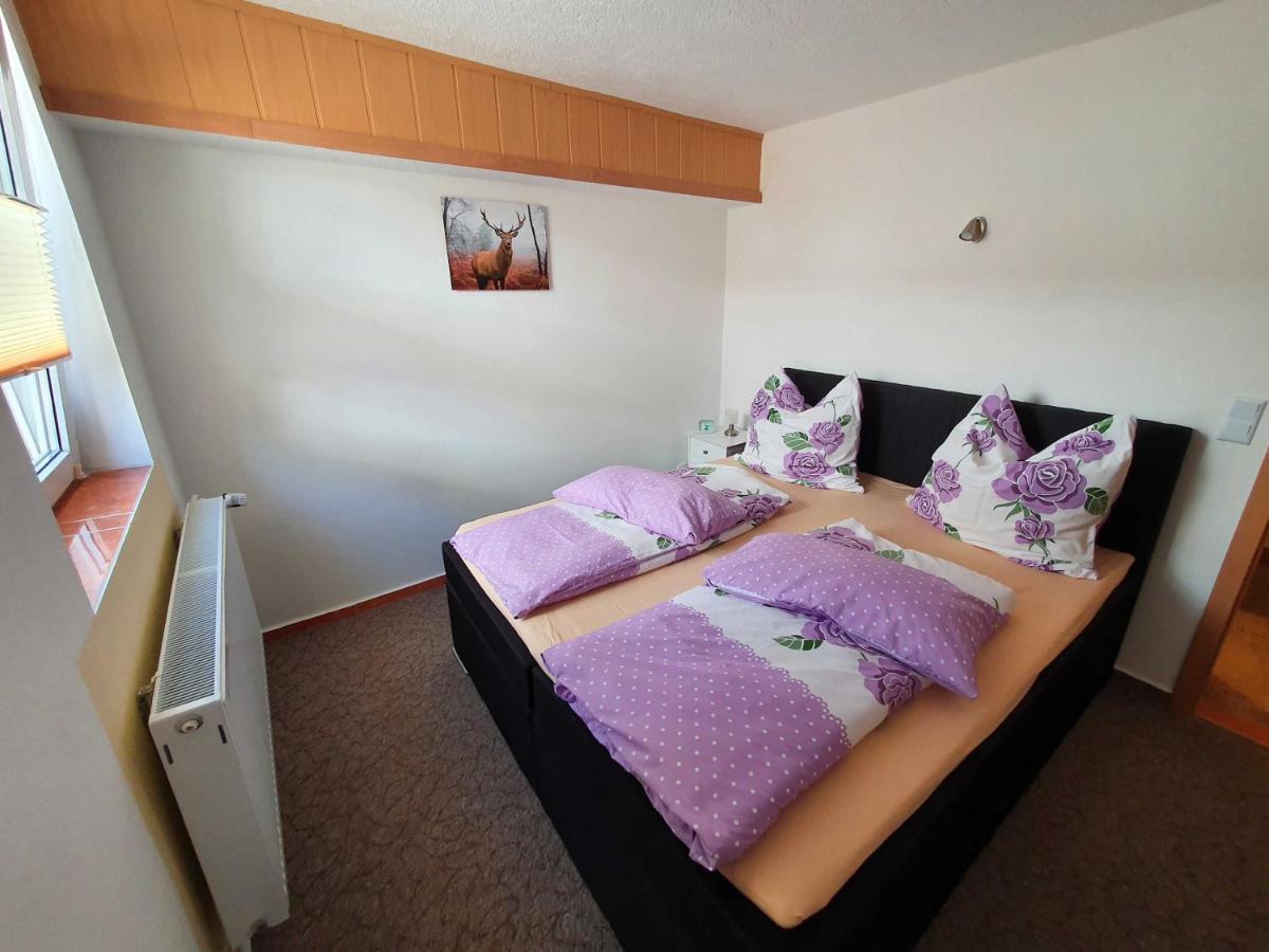 Apartmán Haus Sonja Tanne Exteriér fotografie